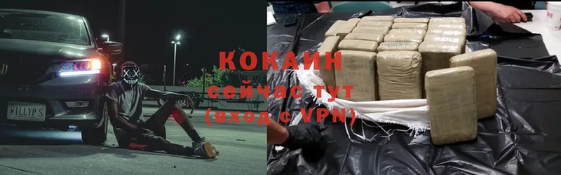 COCAIN Fish Scale  наркота  Судак 