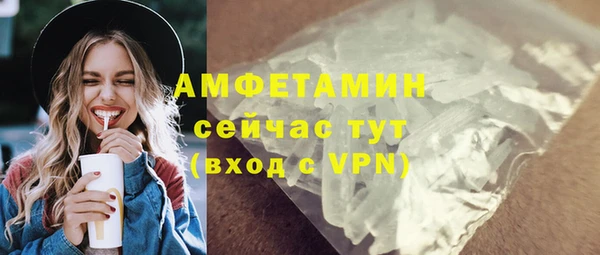 индика Сосновый Бор