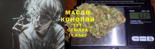 индика Сосновый Бор