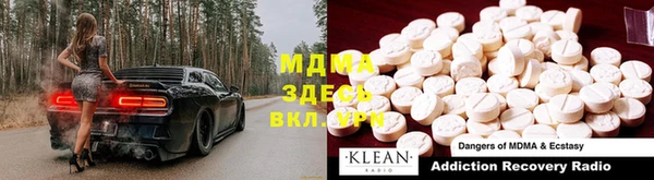 индика Сосновый Бор