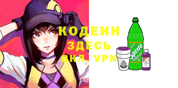 индика Сосновый Бор