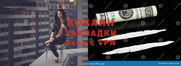 индика Сосновый Бор