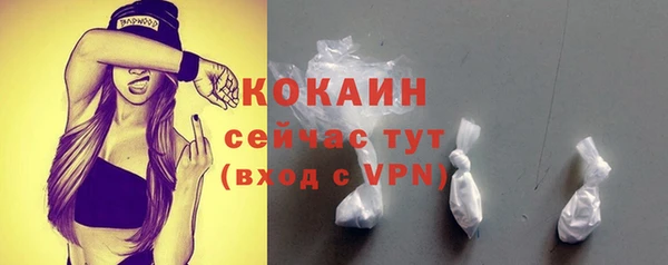 индика Сосновый Бор