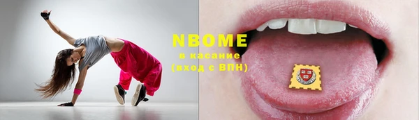 индика Сосновый Бор