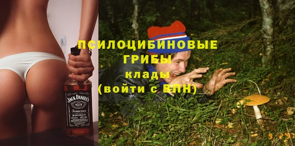 индика Сосновый Бор