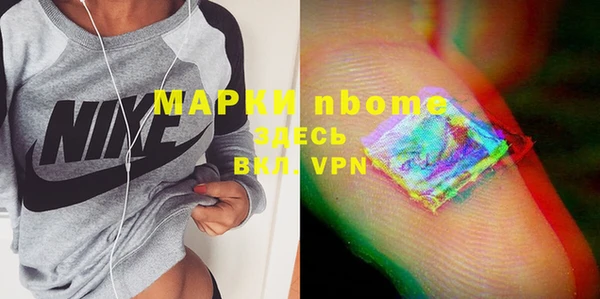 индика Сосновый Бор