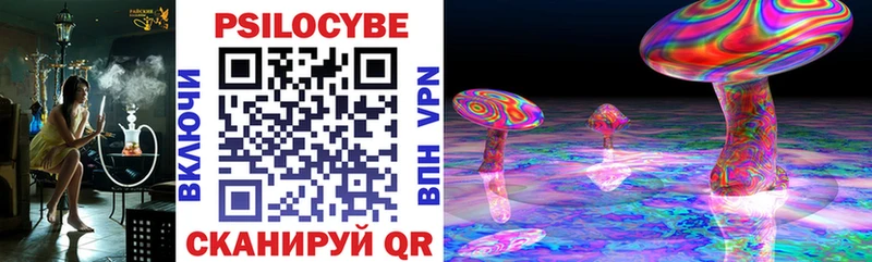 купить Судак Псилоцибиновые грибы прущие грибы